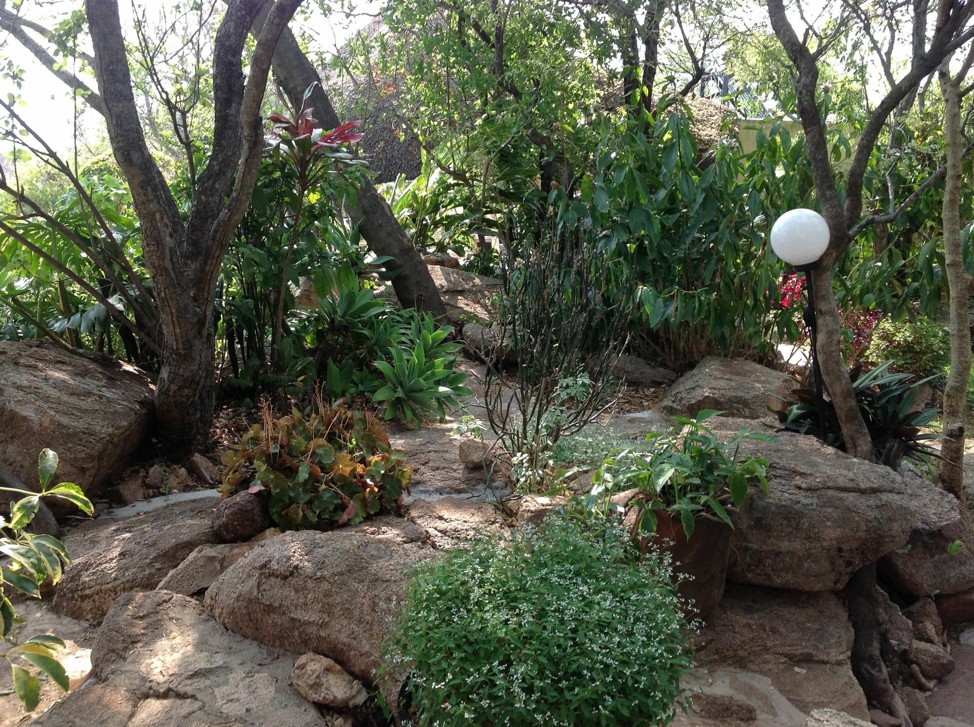 Lynns Guest House Bulawayo Eksteriør billede